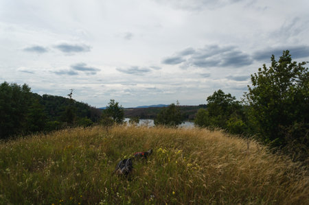 backpacks laysing in high grass in beautiful nature. hiking in the mountains