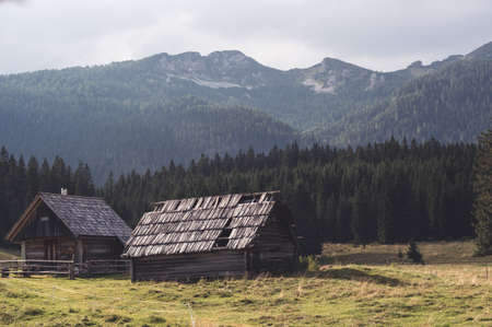 Wooden houses rural village green meadow forest beautiful landscape high angle above view, Slovenia mountains. Traveling Europe, tourism.の写真素材