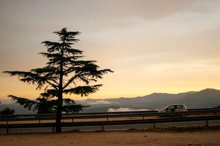Dramatic cloud with mountain and road car traffic with sunset background shot in Sardegna, Italy. Silhouette of a tree.の写真素材