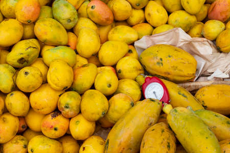 fruit mango - Delicious Mangifera indicaの写真素材