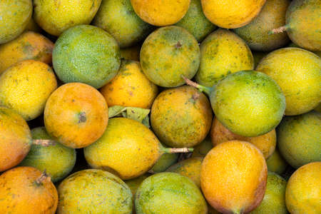 Delicious fresh passion fruit at farmer's market - Passiflora ligularisの写真素材
