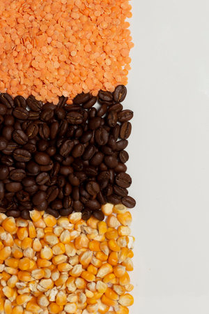white background - coffee and main seeds, pink lentilsの写真素材