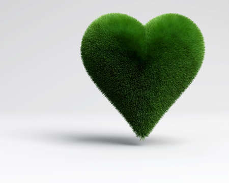a saint valentine heart grass for ecologic loveの写真素材