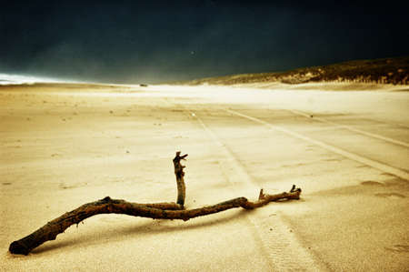 A beach with lot wind in HDR viewの写真素材