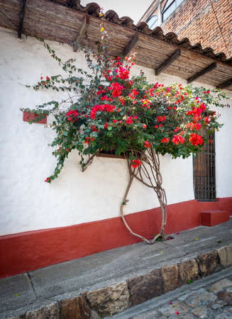 Image of the streets and houses of the city of Cali Valle del Cauca Colombiaの写真素材