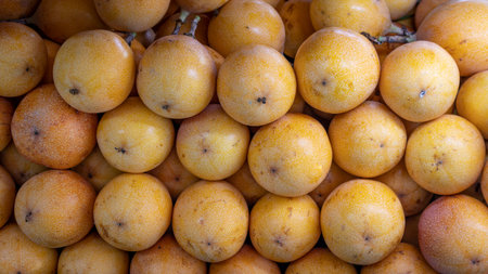 PASSIFLORA LIGULARIS OR HARVEST YELLOW GRANADILLA READY TO SELL IN TULUÃ VALLE DEL CAUCA COLOMBIA