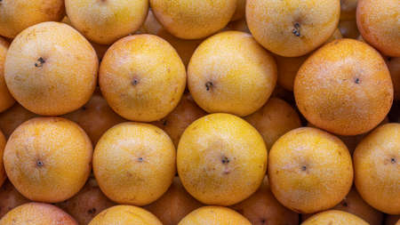 PASSIFLORA LIGULARIS OR HARVEST YELLOW GRANADILLA READY TO SELL IN TULUÃ VALLE DEL CAUCA COLOMBIAの写真素材