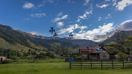Landscape in Cocora national park in Salento QuindÃ­o Colombia. The Colombian Andes.の写真素材