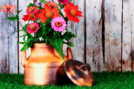 colorful flowers on wooden background and grass floor