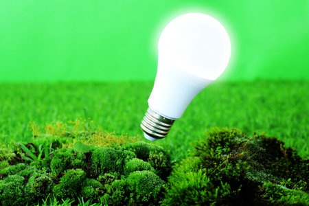Green Ecology Images Creative Light Bulb Plants and Background