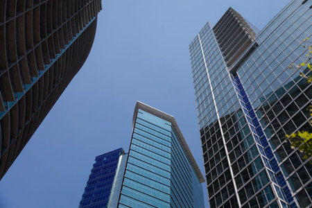 Buildings in the city