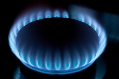 Natural gas burner. Blue flames burning steadily. 