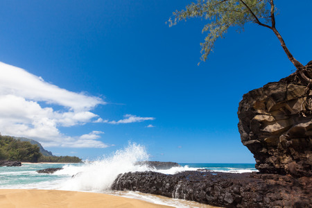 Water splashing over volcanic rock ledge on a beautiful serene beach under a blue sunny sky. Tree growing on rock bolder rising out of light beige sand. Simple composition with room for copy.の写真素材
