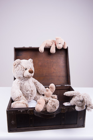 vintage suitcase with teddy bearの写真素材