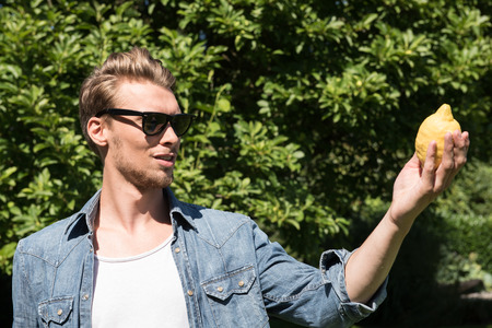 young handsome man is harvesting lemonsの写真素材