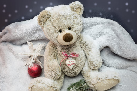 teddy sitting on a blanket in the snowの写真素材