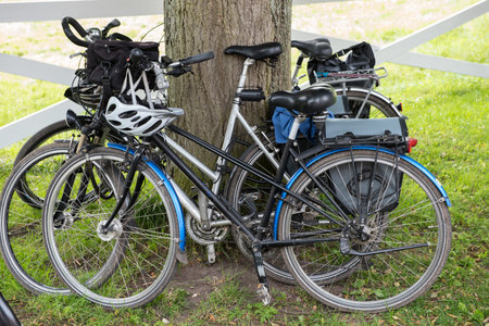 several bycicles standing at a tree near a fence