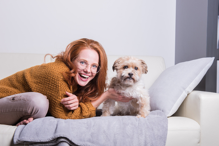 Beautiful red-haired woman educates her dog on the couchの写真素材