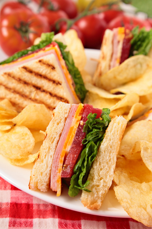 Summer picnic club sandwich ham and cheese, potato crispsの写真素材