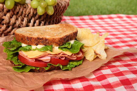 Picnic basket toasted ham and cheese sandwichの写真素材
