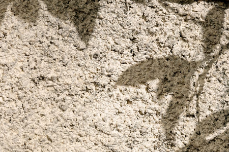 Shadow of leaves on the stone wall background with copy spaceの写真素材