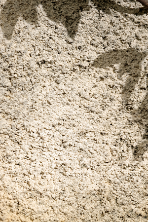 Shadow of leaves on the stone wall background with copy spaceの写真素材