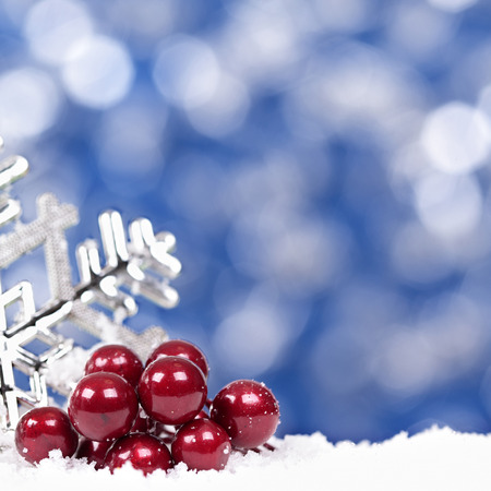 Christmas background with snowflake and berry squareの写真素材