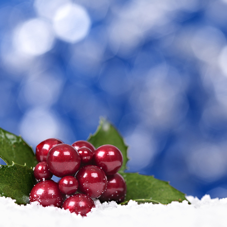 Christmas background with berries decoration squareの写真素材