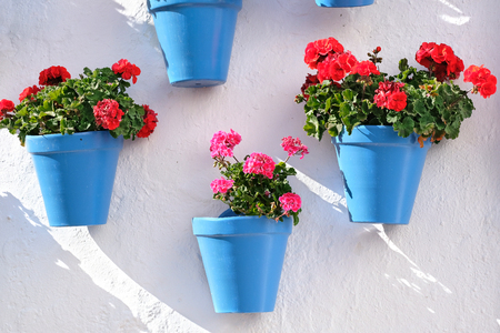 Flower pots decorating on white wall in the old town of Marbellaの写真素材