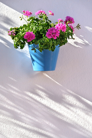 Flower pot decorating on white wall in the old town of Marbellaの写真素材