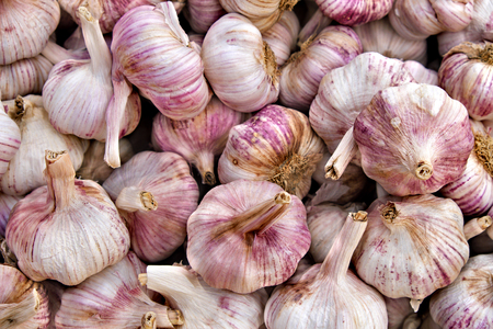 Pile of fresh garlic on market stall in southern Spainの写真素材