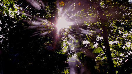 early morning sunriseの写真素材