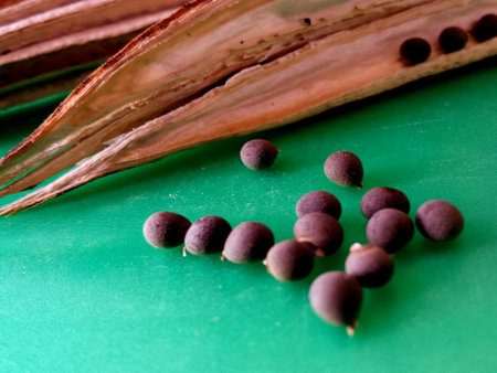 dried gumbo seedsの写真素材