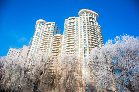 Frozen trees by the buildingsのeditorial素材