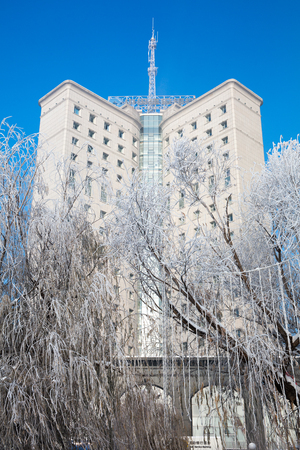 Frozen trees with buildings in the backgroundのeditorial素材