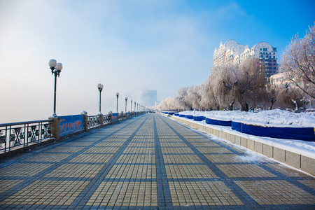 Frozen trees in a park at winter seasonのeditorial素材