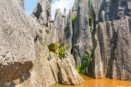Stone Forest Scenic, Kunming, Yunnanのeditorial素材
