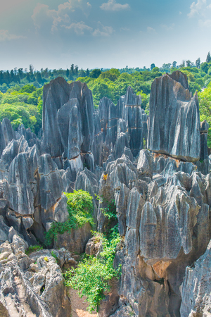 Stone Forest Scenic, Kunming, Yunnanのeditorial素材