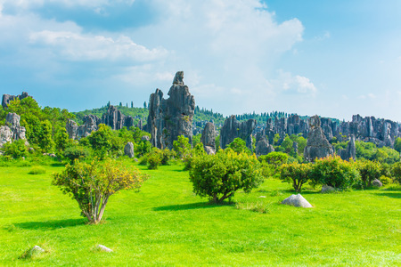 Stone Forest Scenic, Kunming, Yunnanのeditorial素材
