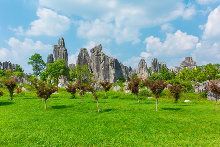 Stone Forest Scenic, Kunming, Yunnanのeditorial素材