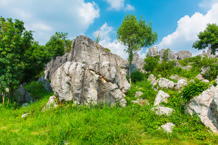 Stone Forest Scenic, Kunming, Yunnanのeditorial素材