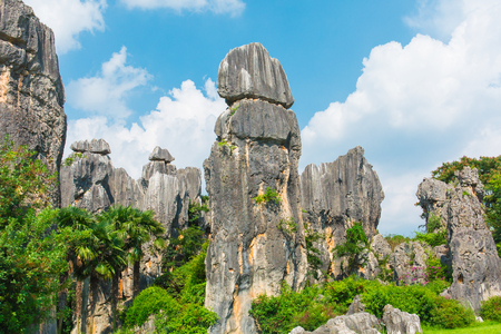 Stone Forest Scenic, Kunming, Yunnanのeditorial素材