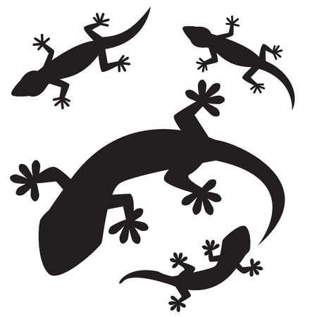 set of lizards silhouettes, isolated on white backgroundのイラスト素材