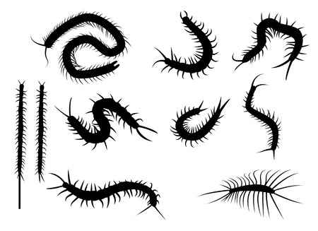 Set of black silhouette centipede in flat icon style. isolated on white backgroundのイラスト素材