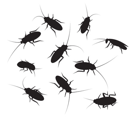 Set of black silhouette cockroach with detail, isolated on white backgroundのイラスト素材