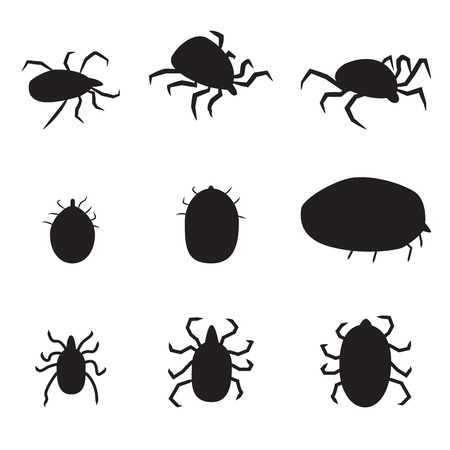 Set of black silhouette dog tick icon. isolated vector illustrationのイラスト素材