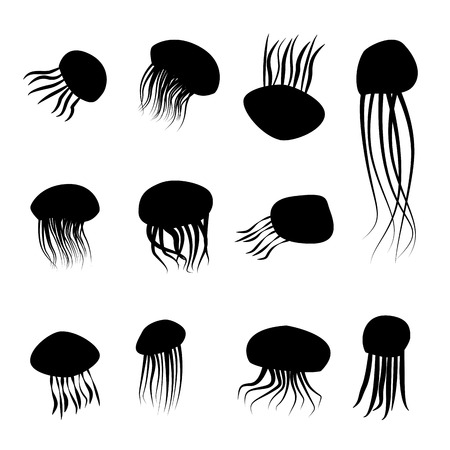 Set of jellyfish silhouettes in simple style, vector illustrationのイラスト素材