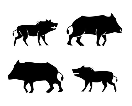 Boar icons and symbol in silhouette style, vectorのイラスト素材