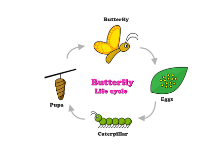 芋虫の写真 イラスト素材一覧 44 385件 ストックフォトのamanaimages Plus