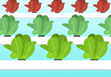 Hydroponics Plants Farm In Flat Vector Art Cartoon Royalty Free